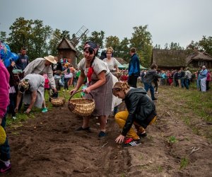 Jesień w polu i zagrodzie