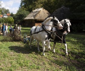 Jesień w polu i zagrodzie. Etnograficzny festiwal kultury ludowej 2022 - fotorelacja