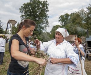 XVI Podlaskie Święto Chleba