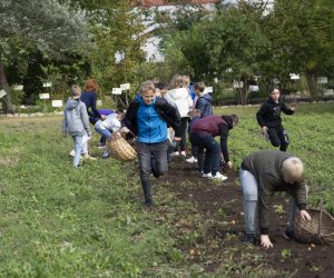 Jesień w polu i zagrodzie. Etnograficzny festiwal kultury ludowej 2022 - fotorelacja