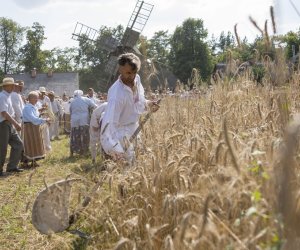 XX Podlaskie Święto Chleba - fotorelacja