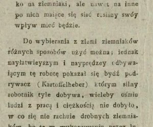 Niecodziennik muzealny - Uprawa ziemniaków w Polsce w XVIII i pierwszych dekadach XIX wieku.