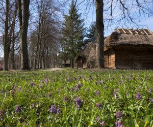 „Na świętego Wojciecha pierwsza wiosny pociecha”