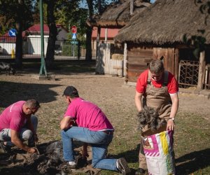 Jesień w polu i zagrodzie - fotorelacja