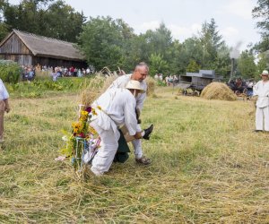 XX Podlaskie Święto Chleba - fotorelacja