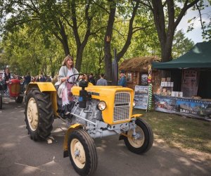 Piknik "Poznaj dobrą żywność" 2019 - fotorelacja