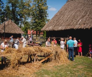 XIX Podlaskie Święto Chleba - fotorelacja