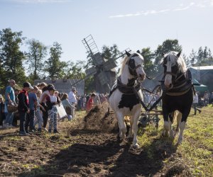 Jesień w polu i zagrodzie 2021 - fotorelacja