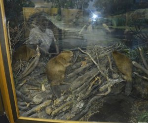 Delegacja pracowników Muzeum Rolnictwa w Ciechanowcu z wizytą na Białorusi na zaproszenie Białoruskiego Państwowego Muzeum Architektury i Życia Codziennego w Mińsku