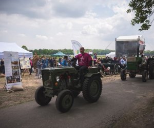 Piknik "Poznaj dobrą żywność" 2019 - fotorelacja