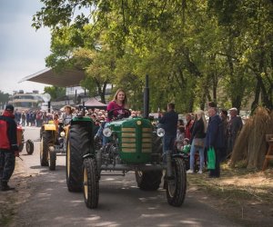 Piknik "Poznaj dobrą żywność" 2019 - fotorelacja