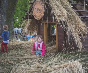 Piknik "Poznaj dobrą żywność" 2019 - fotorelacja