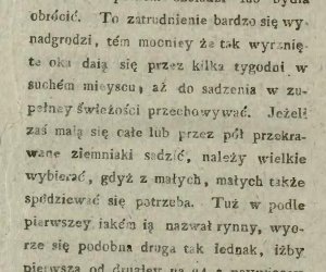 Niecodziennik muzealny - Uprawa ziemniaków w Polsce w XVIII i pierwszych dekadach XIX wieku.