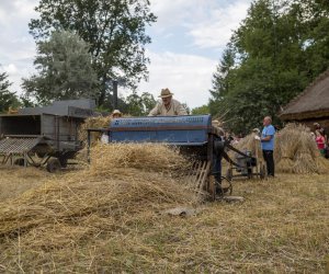 XXI Podlaskie Święto Chleba - fotorelacja