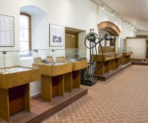 Muzeum Weterynarii