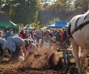 Jesień w polu i zagrodzie - fotorelacja