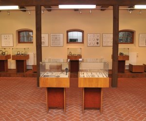 Odnowiona ekspozycja Muzeum Weterynarii