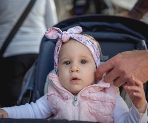 Jesień w polu i zagrodzie - fotorelacja