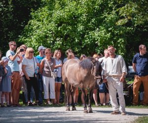 XIX Podlaskie Święto Chleba - fotorelacja