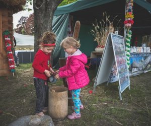 Piknik "Poznaj dobrą żywność" 2019 - fotorelacja