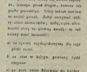 Niecodziennik muzealny - Uprawa ziemniaków w Polsce w XVIII i pierwszych dekadach XIX wieku.