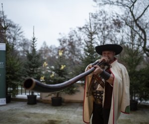 41. Konkurs Gry na Instrumentach Pasterskich im. Kazimierza Uszyńskiego - fotorelacja