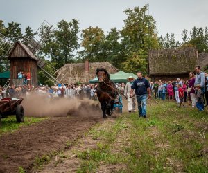 Jesień w polu i zagrodzie