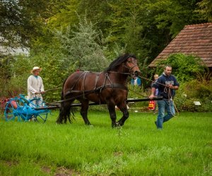 Jesień w polu i zagrodzie