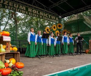 Jesień w polu i zagrodzie