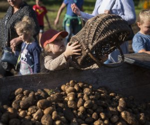 Jesień w polu i zagrodzie 2021 - fotorelacja