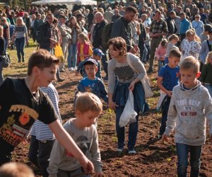 Jesień w polu i zagrodzie - fotorelacja