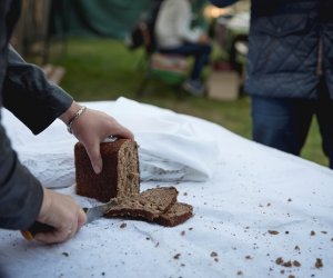 Jesień w polu i zagrodzie - fotorelacja