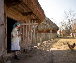 NIECOdziennik Muzealny - Okres przedświąteczny w tradycyjnym gospodarstwie wiejskim.