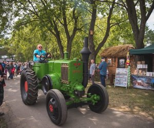 Piknik "Poznaj dobrą żywność" 2019 - fotorelacja