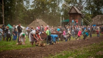 Jesień w polu i zagrodzie