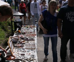 VIII Zajazd Wysokomazowiecki, 15.07.2012.