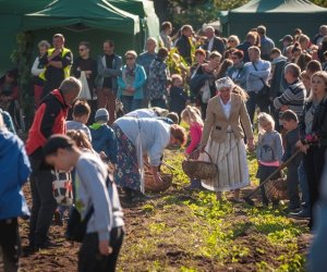 Jesień w polu i zagrodzie - fotorelacja