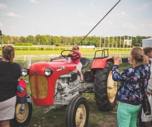 Piknik "Poznaj dobrą żywność" 2019 - fotorelacja