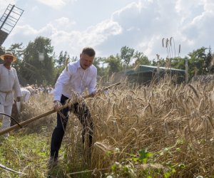 XX Podlaskie Święto Chleba - fotorelacja