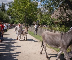 XIX Podlaskie Święto Chleba - fotorelacja