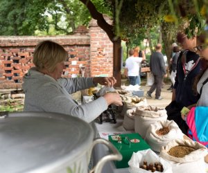 XVII Podlaskie Święto Chleba - fotorelacja
