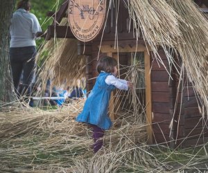 Piknik "Poznaj dobrą żywność" 2019 - fotorelacja