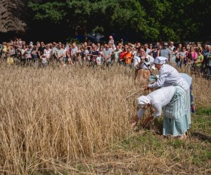 XIX Podlaskie Święto Chleba - fotorelacja