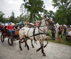 XI Zajazd Wysokomazowiecki - fotorelacja