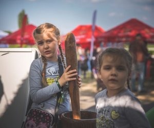 Piknik "Poznaj dobrą żywność" 2019 - fotorelacja