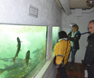 Wizyta w Sand w Norwegii 23-26 września 2014 w ramach Projektu partnerskiego pomiędzy Muzeum Rolnictwa im. ks. Krzysztofa Kluka i Muzeum Ryfylke