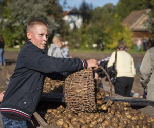 Jesień w polu i zagrodzie 2021 - fotorelacja