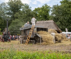 XXI Podlaskie Święto Chleba - fotorelacja