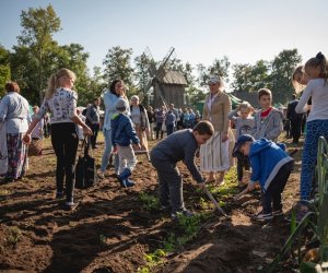 Jesień w polu i zagrodzie - fotorelacja