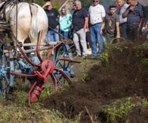 „Jesień w polu i zagrodzie” 2023 r. - fotorelacja i podsumowanie